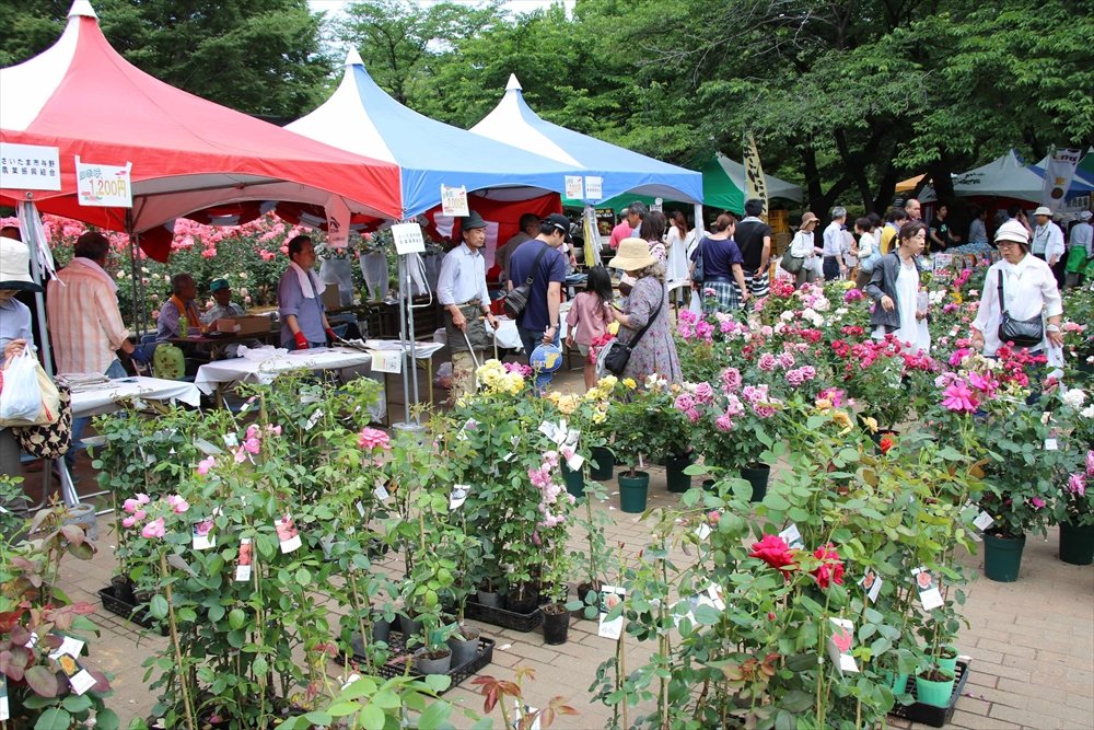 🌹 요노 공원 (Yono Park) 이미지 8